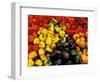 Peppers, Ferry Building Farmer's Market, San Francisco, California, USA-Inger Hogstrom-Framed Photographic Print