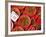 Peppers for Sale in Market, Kuching, Sarawak, Borneo, Malaysia-Jay Sturdevant-Framed Photographic Print