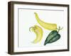 Peppers Hot and Cool-Joanne Porter-Framed Giclee Print