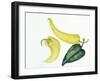 Peppers Hot and Cool-Joanne Porter-Framed Giclee Print