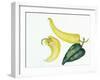 Peppers Hot and Cool-Joanne Porter-Framed Giclee Print