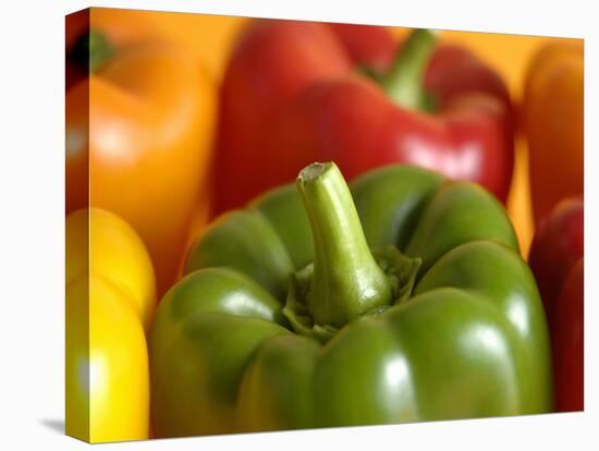 Peppers of Various Colours-Frank Sanchez-Stretched Canvas