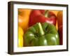 Peppers of Various Colours-Frank Sanchez-Framed Photographic Print