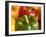 Peppers of Various Colours-Frank Sanchez-Framed Photographic Print