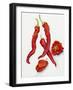 Peppers Very Hot-Joanne Porter-Framed Giclee Print