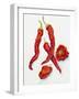 Peppers Very Hot-Joanne Porter-Framed Giclee Print