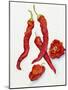 Peppers Very Hot-Joanne Porter-Mounted Giclee Print