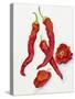 Peppers Very Hot-Joanne Porter-Stretched Canvas