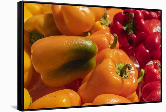 Peppers-George Theodore-Framed Stretched Canvas