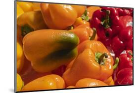 Peppers-George Theodore-Mounted Photographic Print