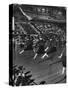 Peppy High School Girl Cheerleaders During their Cheers at the Basketball Game-Francis Miller-Stretched Canvas