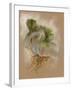 Pequant-Barbara Keith-Framed Giclee Print