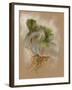 Pequant-Barbara Keith-Framed Giclee Print