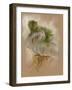 Pequant-Barbara Keith-Framed Giclee Print