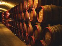 Wine Cellar with Tunnels of Wooden Barrels and Tokaj Wine, Royal Tokaji Wine Company, Mad, Hungary-Per Karlsson-Photographic Print