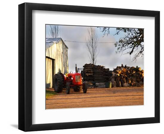Premium Photographic Print, , large