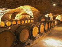 Wine Cellar with Tunnels of Wooden Barrels and Tokaj Wine, Royal Tokaji Wine Company, Mad, Hungary-Per Karlsson-Photographic Print