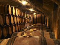 Wooden Barrels with Aging Wine in Cellar, Domaine E Guigal, Ampuis, Cote Rotie, Rhone, France-Per Karlsson-Photographic Print