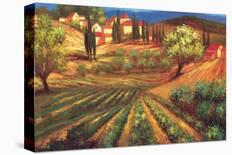 Village de Vinci-Per Mattin-Stretched Canvas