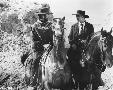 Laminate
