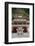 Perak Tong Cave Temple, Kinta Valley, Ipoh, Perak, Malaysia, Southeast Asia, Asia-Jochen Schlenker-Framed Photographic Print