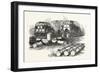 Perambulating Kitchen for the Army in the Field-null-Framed Giclee Print