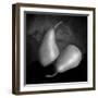 Peras 2-Moises Levy-Framed Photographic Print