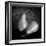 Peras 2-Moises Levy-Framed Photographic Print