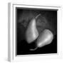 Peras 2-Moises Levy-Framed Photographic Print