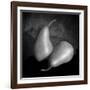 Peras 2-Moises Levy-Framed Photographic Print