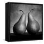 Peras enamoradas-Moises Levy-Framed Stretched Canvas
