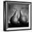 Peras enamoradas-Moises Levy-Framed Photographic Print