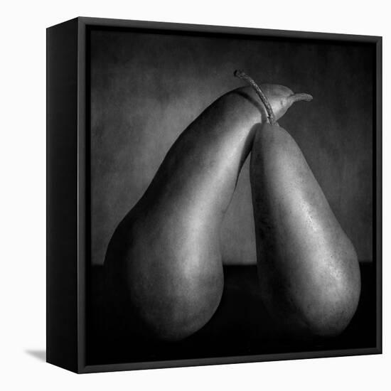 Peras Tiernas-Moises Levy-Framed Stretched Canvas