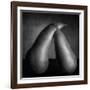 Peras Tiernas-Moises Levy-Framed Photographic Print