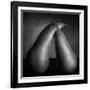 Peras Tiernas-Moises Levy-Framed Photographic Print