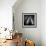 Peras Tiernas-Moises Levy-Framed Photographic Print displayed on a wall