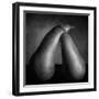 Peras Tiernas-Moises Levy-Framed Photographic Print