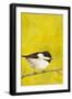 Perch I-Mehmet Altug-Framed Art Print