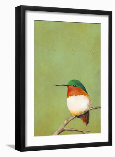 Perch III-Mehmet Altug-Framed Art Print