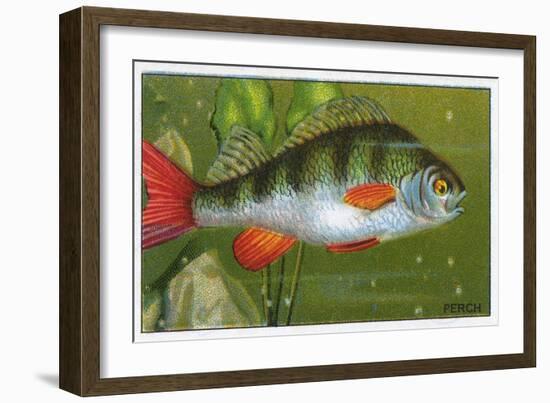 Perch, Morris, 1928-null-Framed Art Print