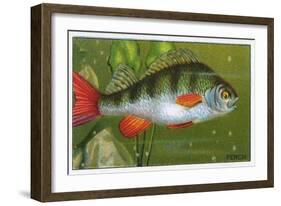 Perch, Morris, 1928-null-Framed Art Print