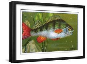 Perch, Morris, 1928-null-Framed Art Print