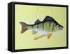 Perch on a Perch-Jeanne Maze-Framed Stretched Canvas