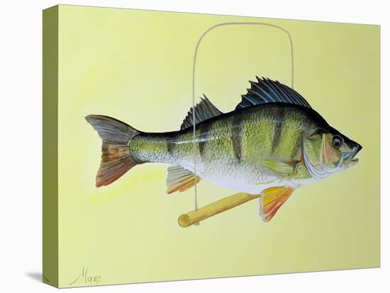 Perch on a Perch-Jeanne Maze-Stretched Canvas