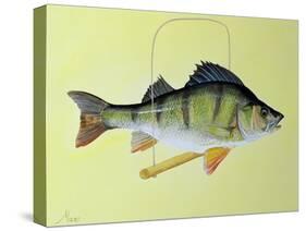 Perch on a Perch-Jeanne Maze-Stretched Canvas