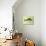 Perch on a Perch-Jeanne Maze-Giclee Print displayed on a wall