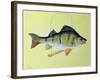 Perch on a Perch-Jeanne Maze-Framed Giclee Print