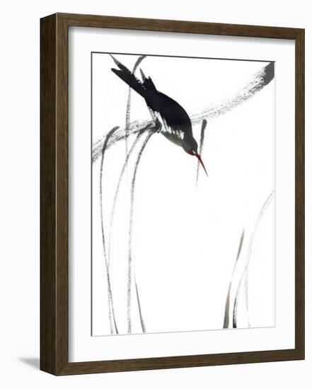 Perched Bird-Aurore De La Morinerie-Framed Art Print