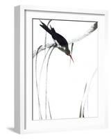 Perched Bird-Aurore De La Morinerie-Framed Art Print