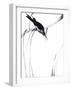 Perched Bird-Aurore De La Morinerie-Framed Art Print